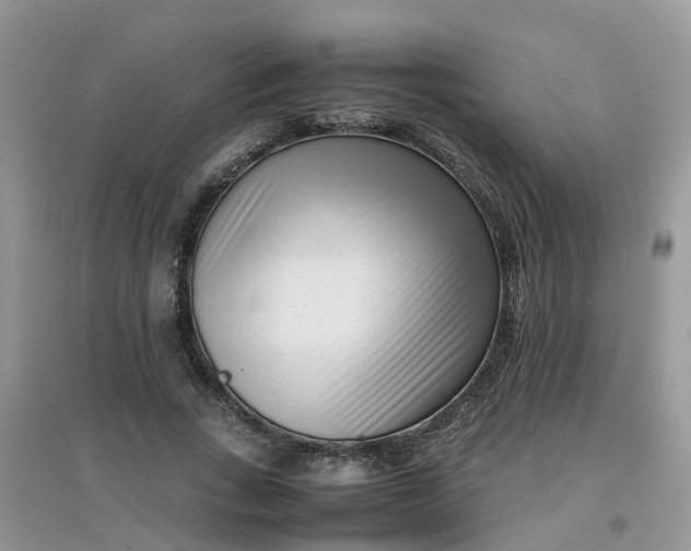 X0000097640735200803142046