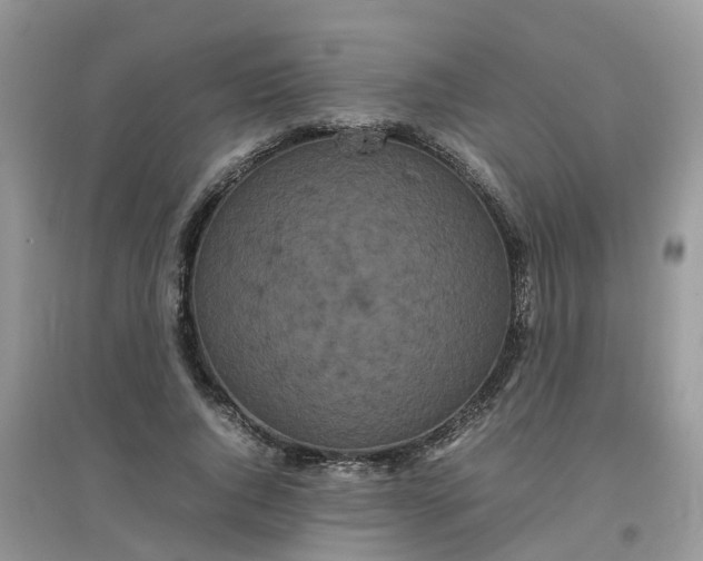 X0000097640736200803142046