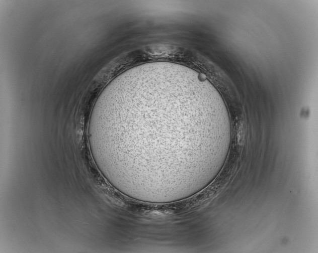 X0000097640737200803142046