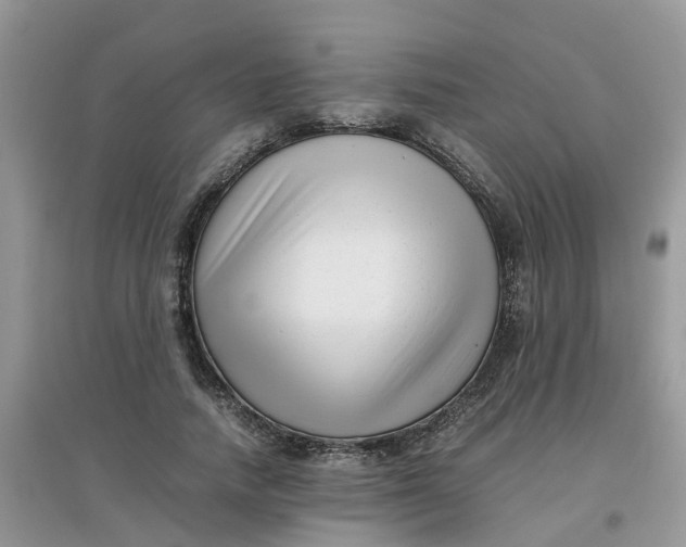 X0000097640738200803142046