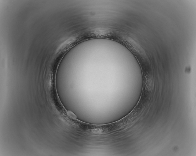 X0000097640740200803142046