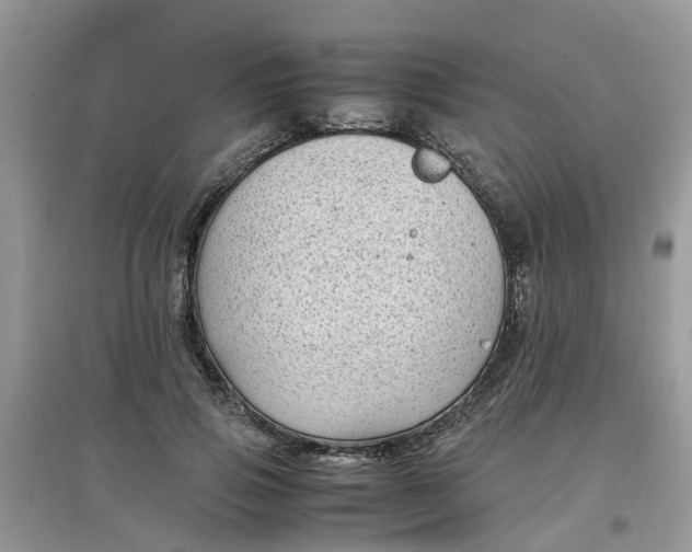 X0000097640741200803142046