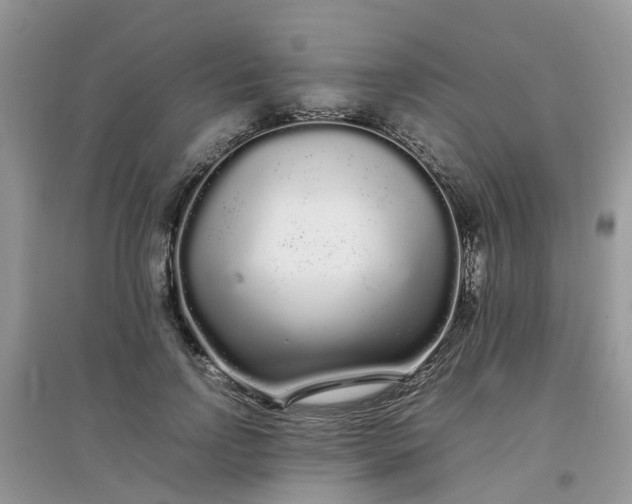 X0000097640742200803142046