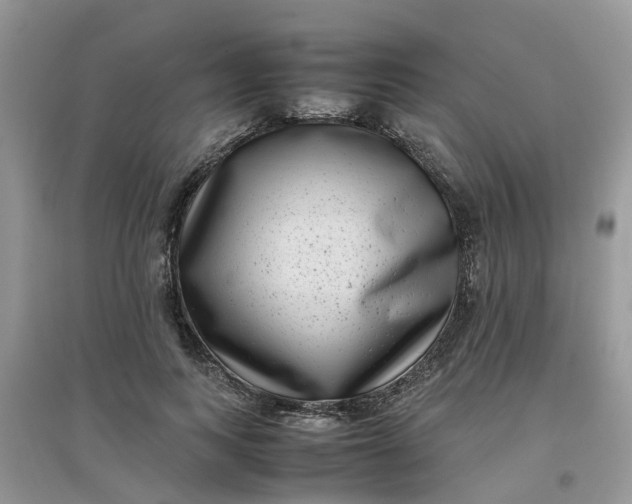 X0000097640743200803142046