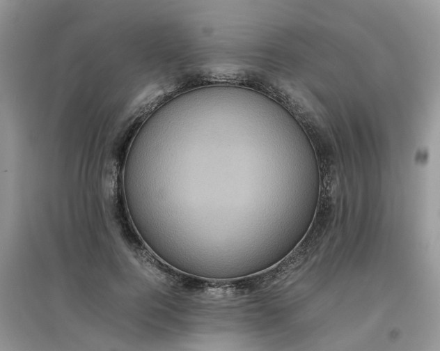 X0000097640744200803142046