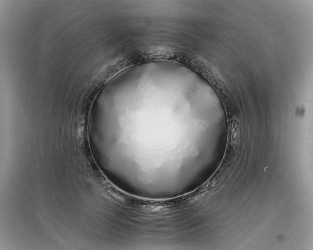 X0000097640745200803142046