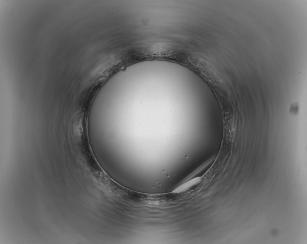 X0000097640746200803142046