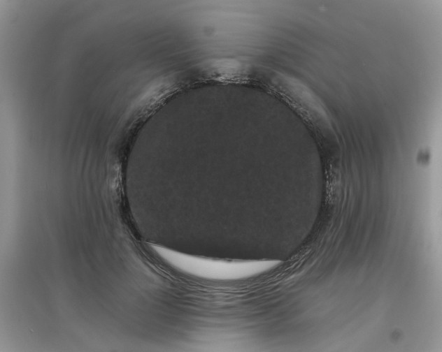 X0000097640748200803142046