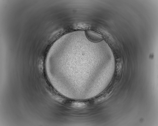 X0000097640749200803142046