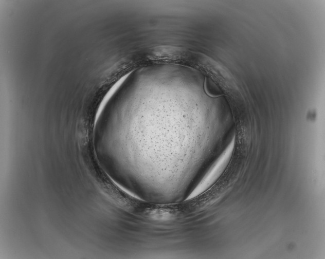 X0000097640751200803142046