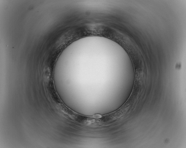 X0000097640752200803142046