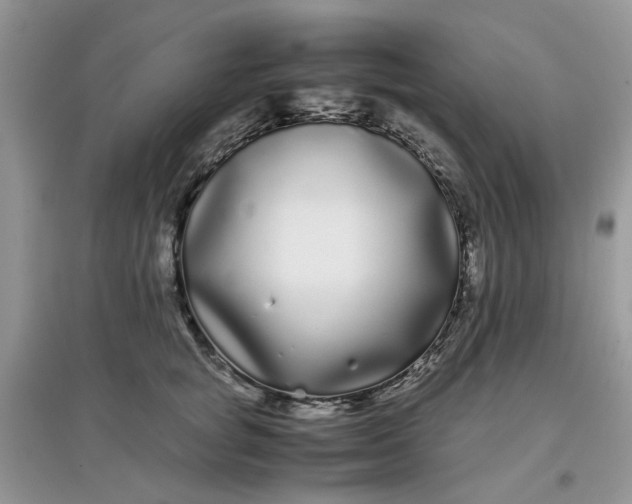 X0000097640757200803142046