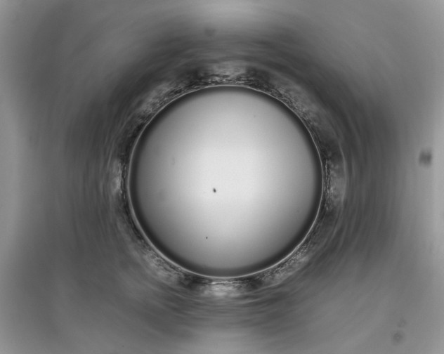 X0000097640758200803142046