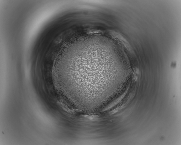 X0000097640763200803142046