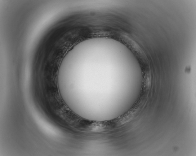 X0000097640764200803142046