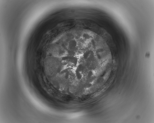 X0000097640765200803142046