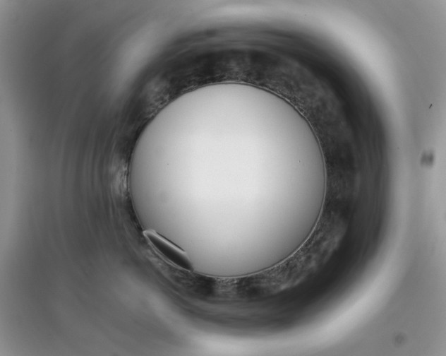 X0000097640766200803142046