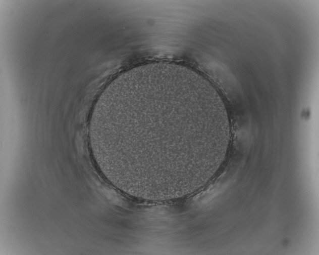 X0000097640769200803142046