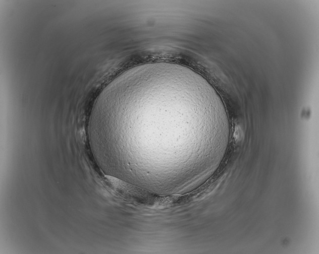 X0000097640771200803142046