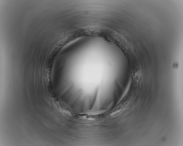 X0000097640772200803142046