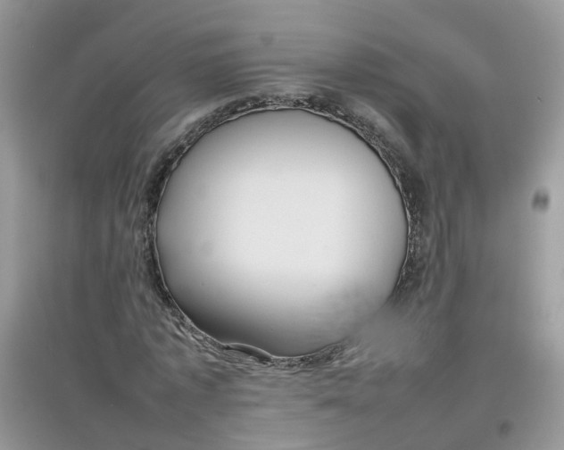 X0000097640773200803142046