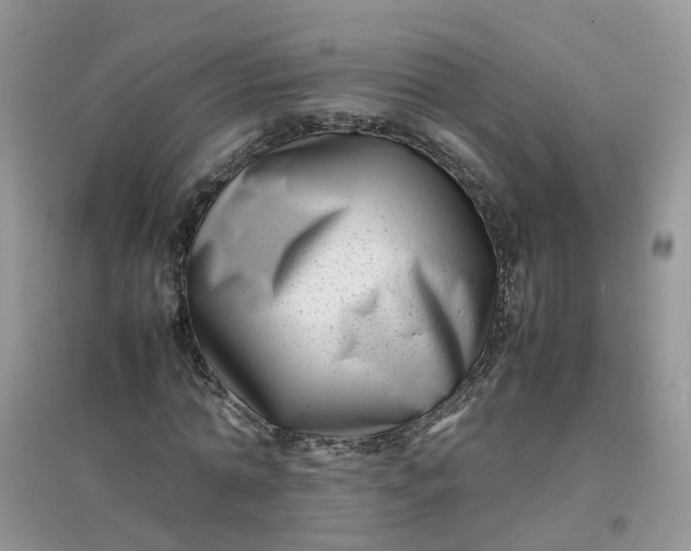 X0000097640774200803142046