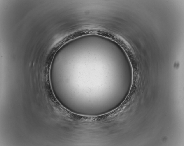 X0000097640775200803142046