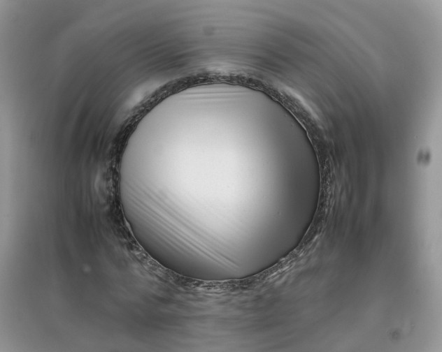 X0000097640776200803142046