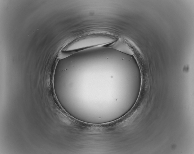 X0000097640777200803142046