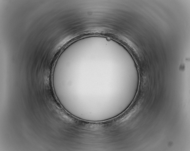 X0000097640778200803142046