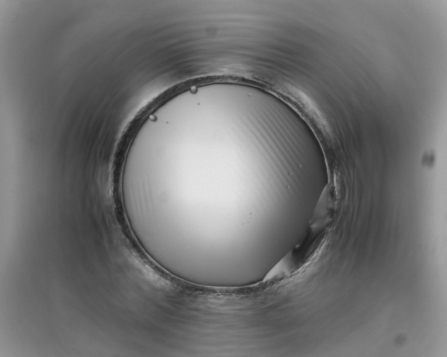 X0000097640780200803142046