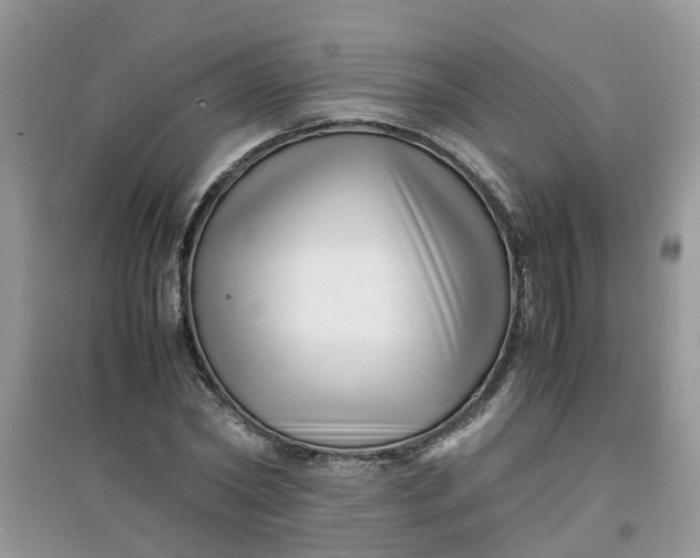 X0000097640782200803142046