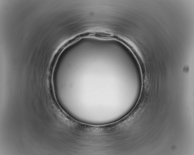 X0000097640783200803142046