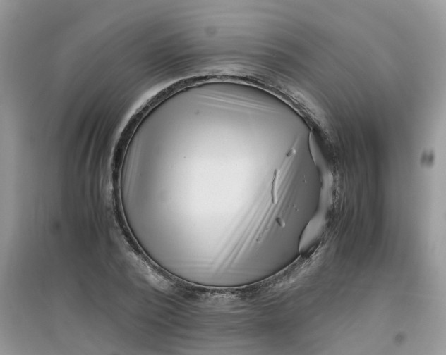 X0000097640784200803142046