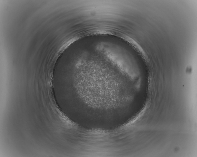 X0000097640785200803142046