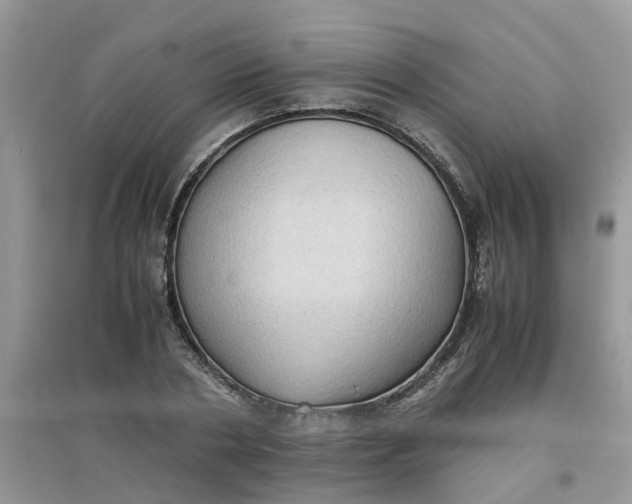 X0000097640786200803142046