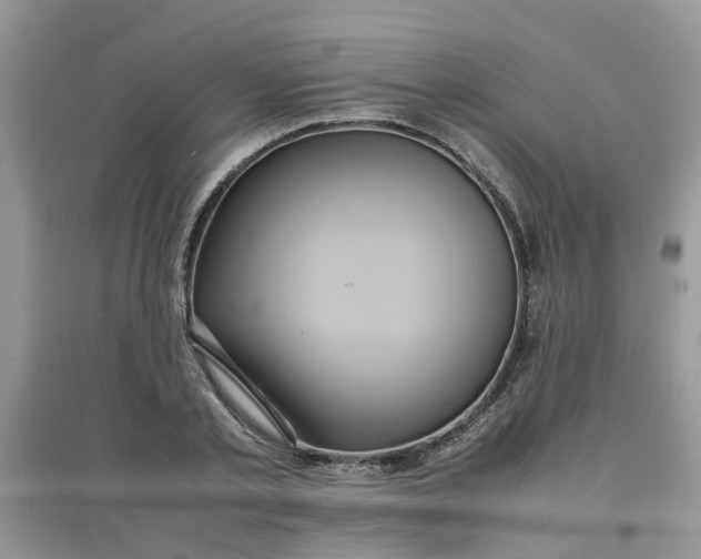 X0000097640789200803142046