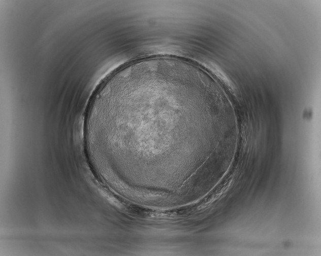 X0000097640790200803142046