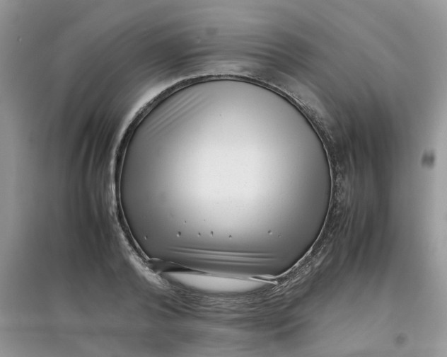 X0000097640792200803142046