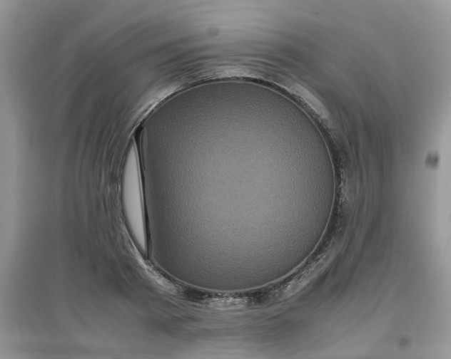 X0000097640793200803142046