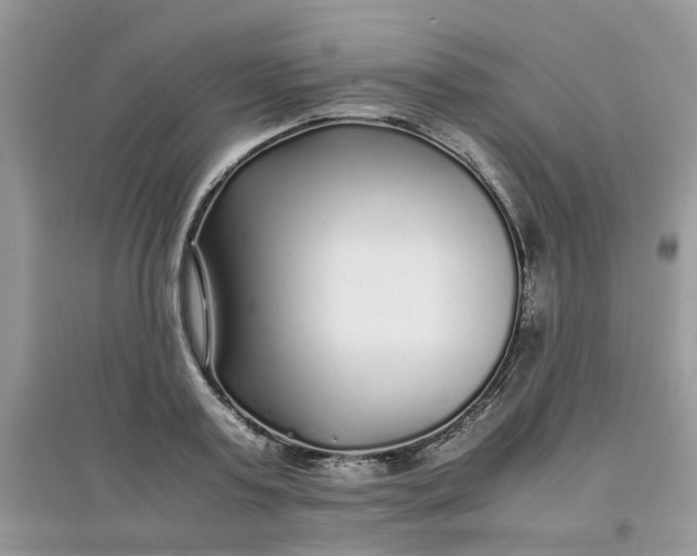 X0000097640795200803142046