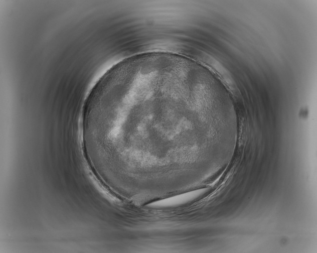 X0000097640796200803142045