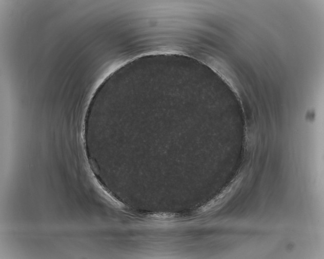 X0000097640797200803142045