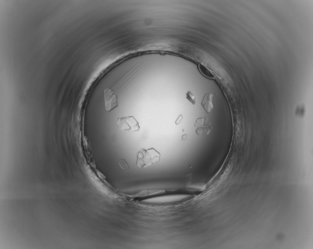 X0000097640800200803142045