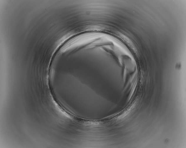 X0000097640802200803142045