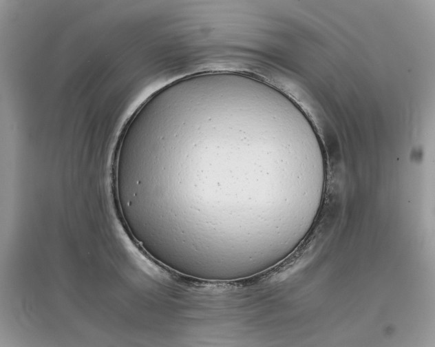 X0000097640803200803142045