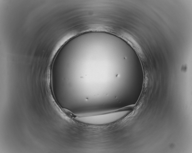 X0000097640804200803142045