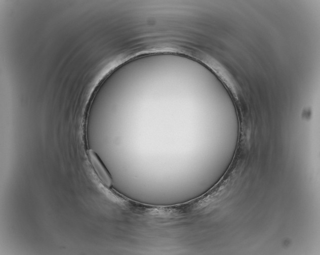 X0000097640805200803142045