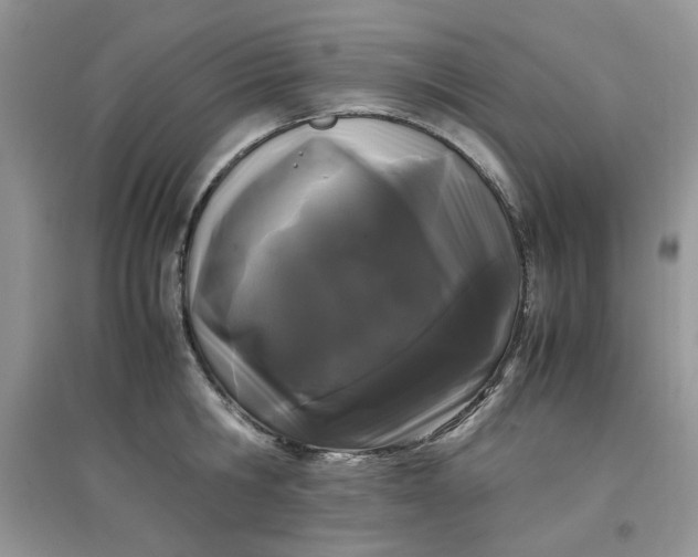 X0000097640806200803142045