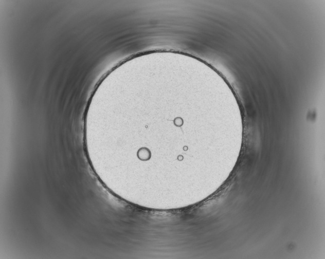 X0000097640807200803142045